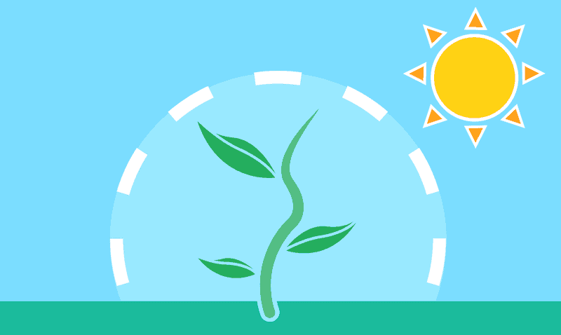 graphic of plant growing in the sun