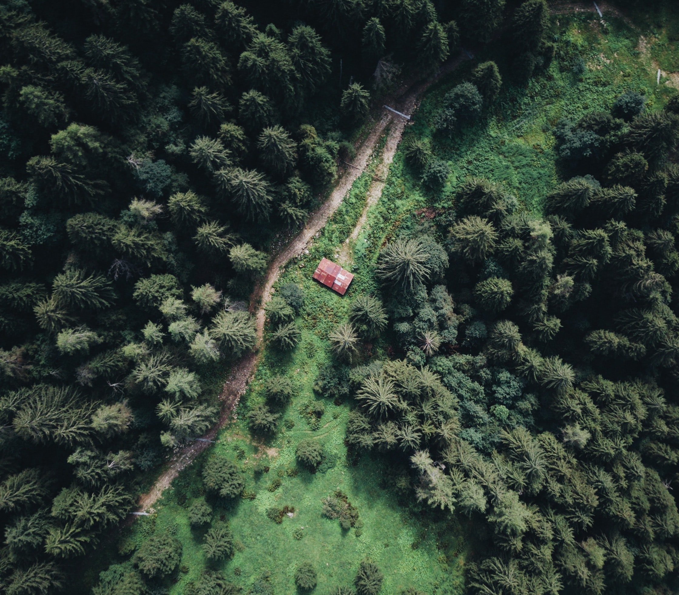 Aerial view of remote dwelling in wilderness